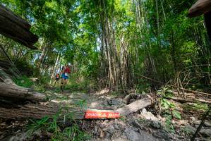 BIB: 
                            <button type="button" onclick="openModal(19390079)" class="btn btn-primary btn-sm float-right btn-popup" data-toggle="modal" data-target=".modal-high-quality">
                        <i class="fas fa-shopping-cart"></i> Add to Cart
                    </button>
                                            <button type="button" onclick="isThisMe(19390079, true)" class="btn btn-success btn-sm float-right btn-popup btn-isme hidden" data-toggle="tooltip" data-placement="bottom" title="นี่คือรูปของคุณใช่ไหม คลิกที่นี่เพื่อเอาเข้าอัลบั้ม">
                        <i class="fas fa-plus"></i> Add to album
                    </button>
                    <button type="button" onclick="isThisMe(19390079, false)" class="btn btn-warning btn-sm float-right btn-popup btn-isnotme hidden">
                        <i class="fas fa-ban"></i> Remove from album
                    </button>